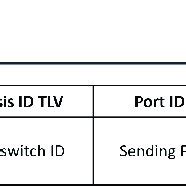 format  lldp packets  scientific diagram