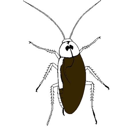 Dibujo de Cucaracha grande pintado por L en Dibujos net el día 19 08 10