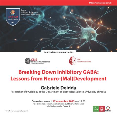 Breaking Down Inhibitory Gaba Lessons From Neuro Mal Development