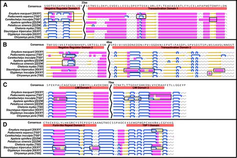 Amino Acid Substitutions In Functional Domains Of Sex Determination Download Scientific Diagram