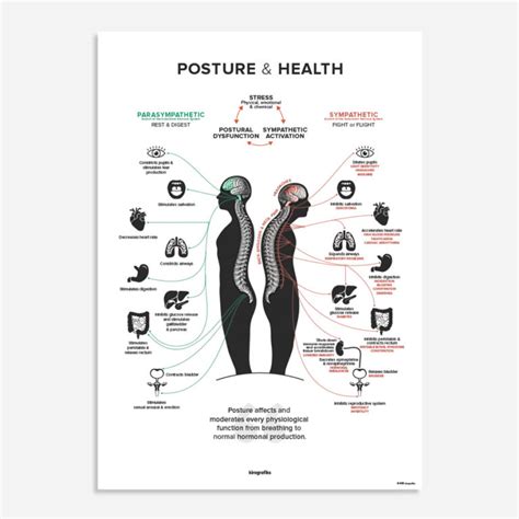 Modern Chiropractic Posters By Kirografiks