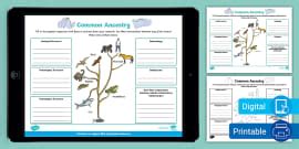 Eighth Grade The Water Cycle Assessment Twinkl