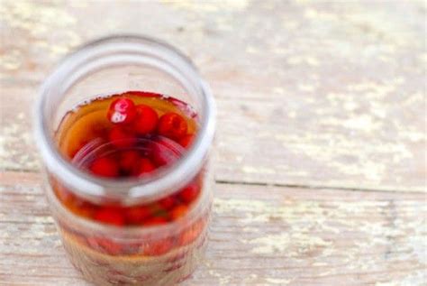 Happy Birthday George Washington And Cherry Bounce Recipe Cherry