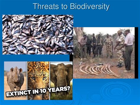 Threats To Biodiversity Ppt Download