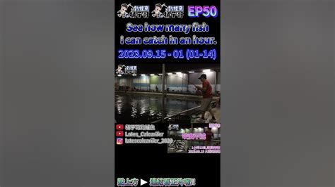 20230915 0101 14 Ep50 咬度不減 大湖海釣場海釣場金目鱸latescalcarifer釣り