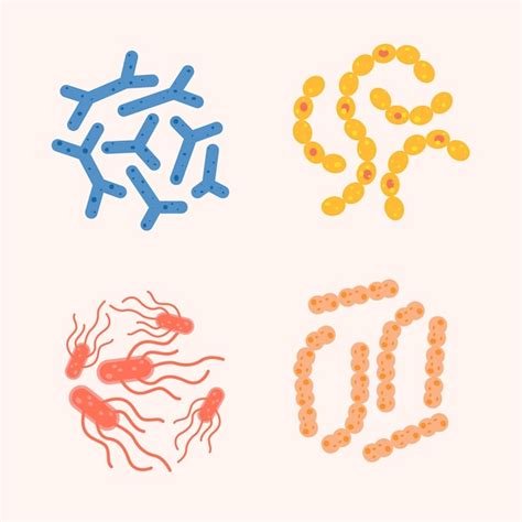 Probiotic Cell Vectors And Illustrations For Free Download Freepik