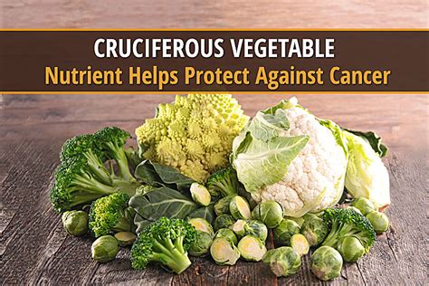 Microbes and Cruciferous Vegetables : Cancer Cure - Prachodayat