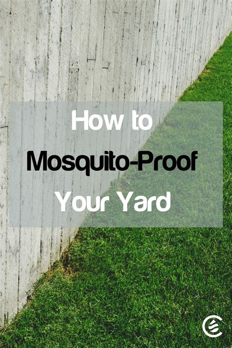 Eco Conscious Mosquito Proofing Solutions Cedarcide Lawn Care Tips