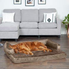 Comfy Dog Beds (Free Shipping) | Chewy