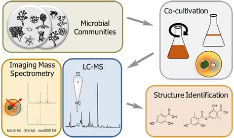 Frontiers Microbial Communication Leading To The Activation Of Silent