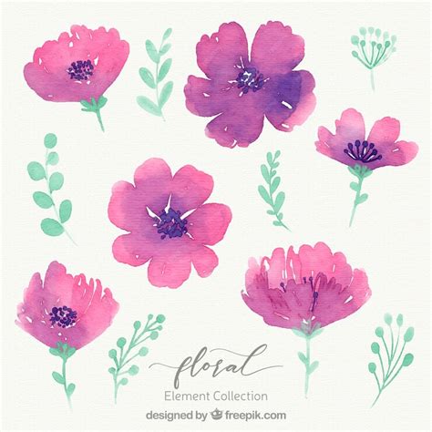 Free Vector Watercolor Floral Element Collection