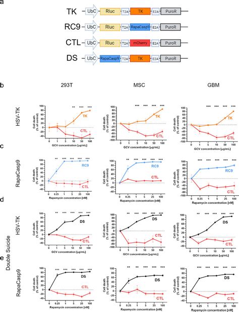 The Double Kill Switch Efficiently Eradicates Transduced Cells In