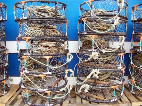 10 Best Crabbing Bays On The Oregon Coast 2023 Best Fishing In America