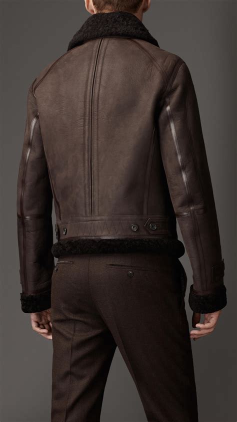 Lyst Burberry Taped Seam Shearling Aviator Jacket In Brown For Men