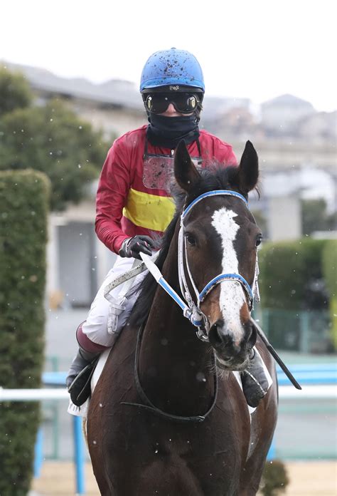 今村聖奈騎手が4週連続vで今年5勝目 ゴールドプリンセスで逃げ馬を差し切る／小倉5r 3歳馬特集 競馬写真ニュース 日刊スポーツ