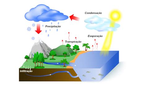 Ciclo da água: etapas, importância e atividade - Escola Kids