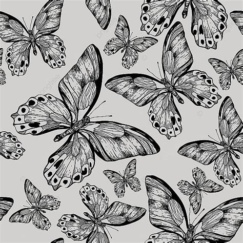 Fondo Patrón Transparente De Vector Con Mariposas Negras Fondo