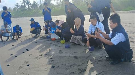 Lestarikan Biota Laut Pokmaswas Legokjawa Pangandaran Lepasliarkan