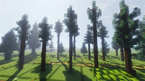 Minecraft Pine Tree Schematic