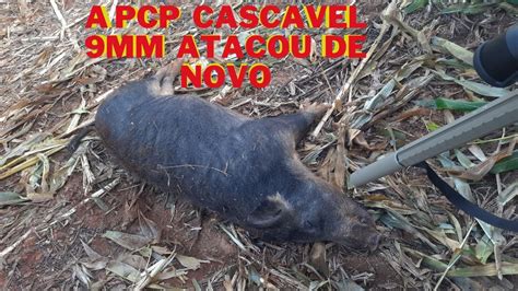 Abate De Um Cacha O A Pcp Cascavel Mm Youtube