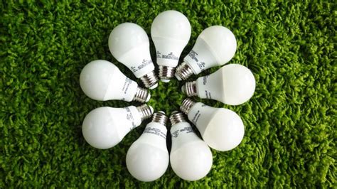 Climate Solutions Led Lightbulb Replacement At Home Sustainability