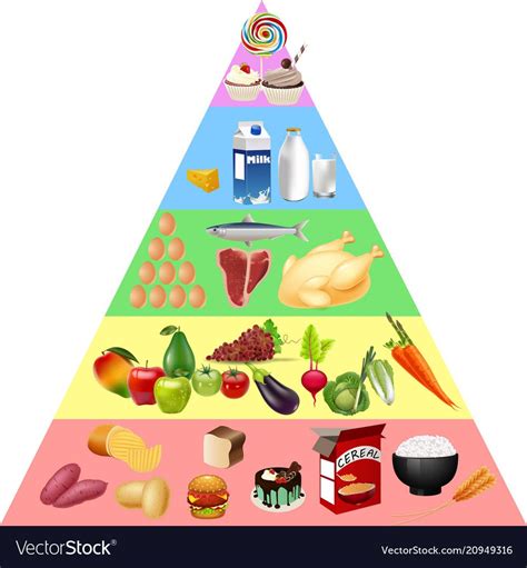 Food Pyramid Chart Vector Image On Vectorstock Food Pyramid Food