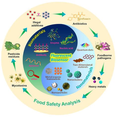 Biosensors Free Full Text Nanomaterial Based Fluorescent Biosensor