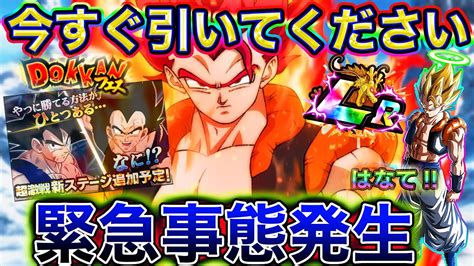 【ドッカンバトル】今すぐガシャ引け！！！！急げ！！！！！【dokkan Battle】 Youtube