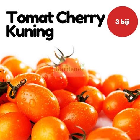 Jual Benih Unggul Benih Tomat Cherry Ceri Kuning Biji Bibit Tanaman