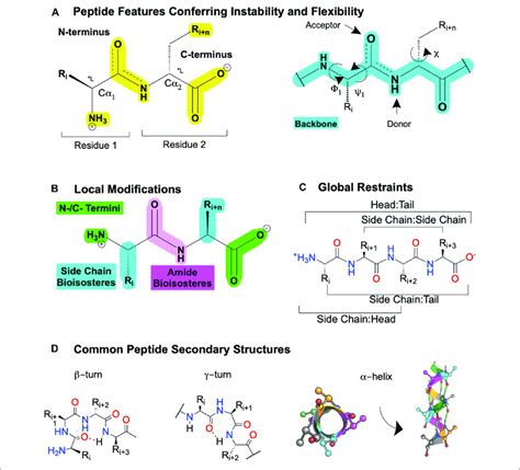 Peptide Features And Peptidomimetic Modifications To Improve Their Download Scientific