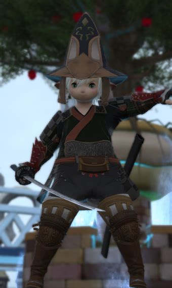 FFXI Samurai Eorzea Collection