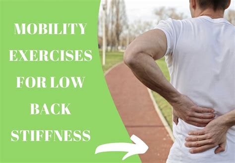 Mobility Exercises for Lower Back Stiffness - Trinity Rehab