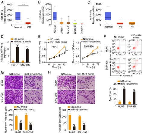 Enforced Mir 451a Expression Exerts Tumor Inhibiting Roles In Hcc