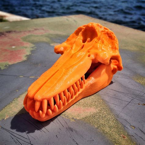 Killer Whale Skull For 3D Printing – 3DKitbash