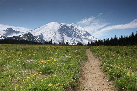 Cascadia Hiking Adventures Seattle 2023 Qué Saber Antes De Ir Lo Más Comentado Por La