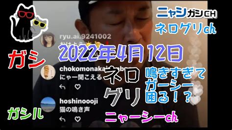 2022年4月12日ガーシーインスタライブ 猫が鳴きすぎて困るガーシー！！実はこの鳴いている猫はネログリだった！！【ネログリch】【ニャーシー