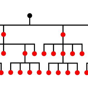 Example of an academic genealogy represented in a traditional family... | Download Scientific ...