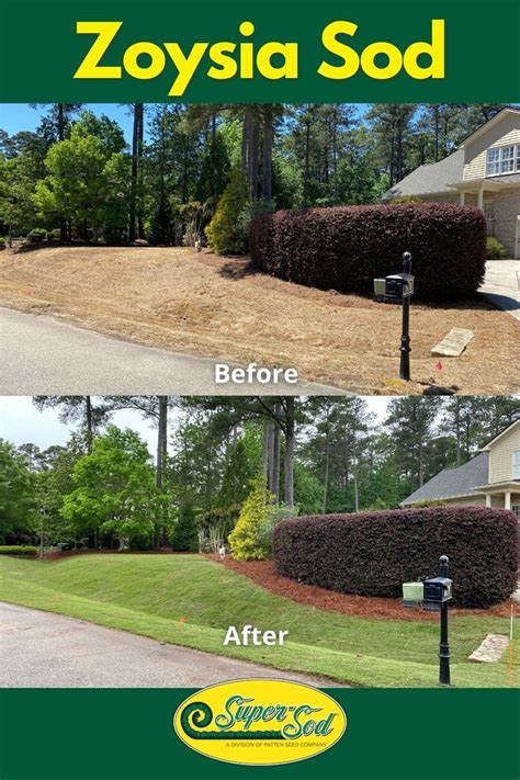 Before After Zoysia Front Yard Grow Grass In Shade Lawn And Garden