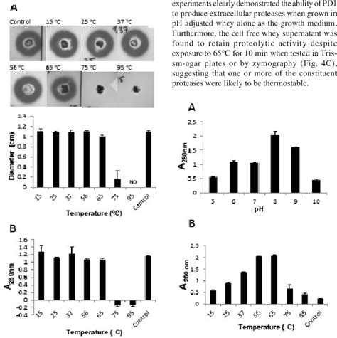 Figure From Production Of Extracellular Proteases By Bacillus Cereus