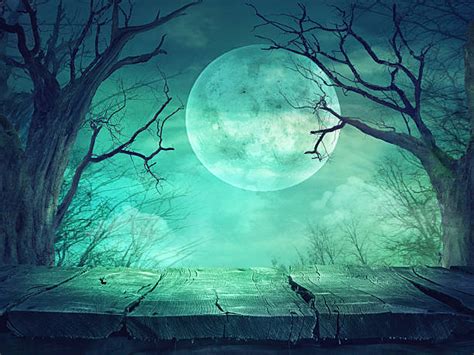 Best Spooky Moon Stock Photos, Pictures & Royalty-Free Images - iStock