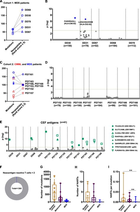 Neoantigen Reactive Cd8 T Cells Identified In Hematological