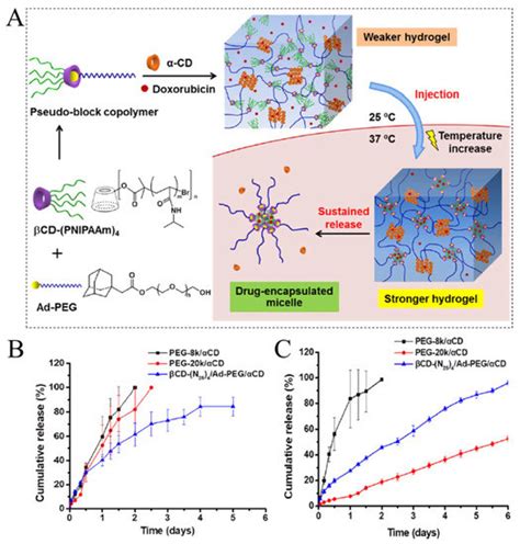 Ijms Free Full Text Smart Hydrogels For Advanced Drug Delivery Systems