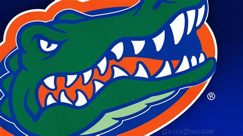 florida gators wallpapers wallpaper cave
