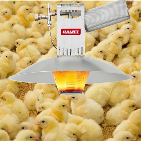 Chicken Farm House Radiant Gas Brooder Poultry Heater China Chicken