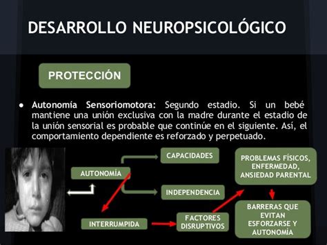 Trastorno Dependiente De La Personalidad Según Millon