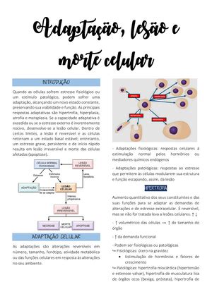 Prova Setembro Quest Es E Respostas Prova De Patologia I