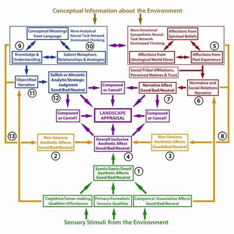 -A conceptual model of the relationship between environmental stimuli ...