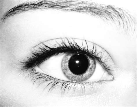 Black and white eye-stock by Swordexpert-Stock on DeviantArt