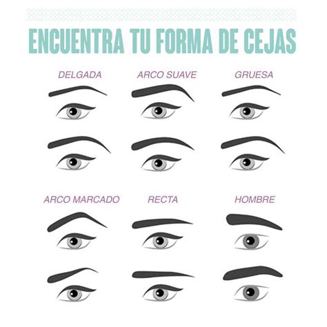 Esta Es La Manera Correcta De Darle Forma A Tus Cejas Upsocl