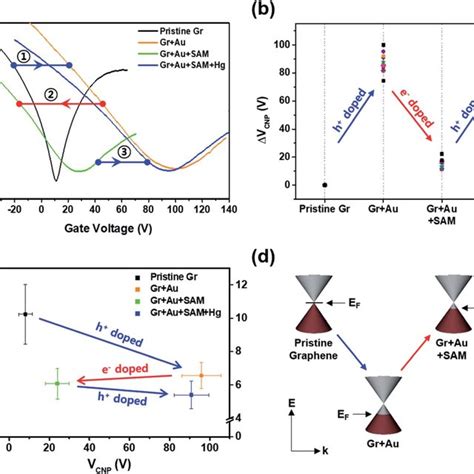 A Representative Electrical Transfer Curves Of Graphene Fet Devices Download Scientific